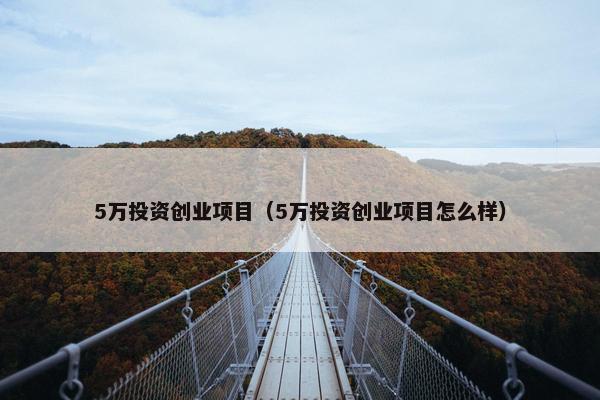 5万投资创业项目（5万投资创业项目怎么样）