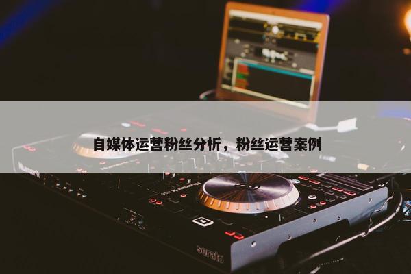 自媒体运营粉丝分析，粉丝运营案例