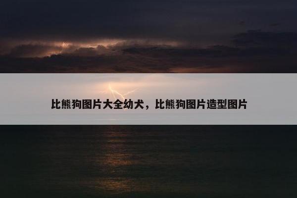 比熊狗图片大全幼犬，比熊狗图片造型图片