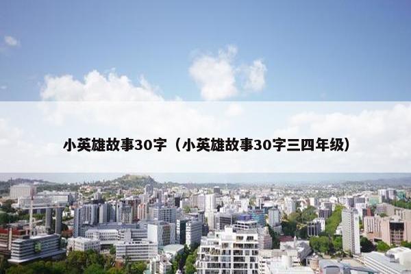 小英雄故事30字（小英雄故事30字三四年级）