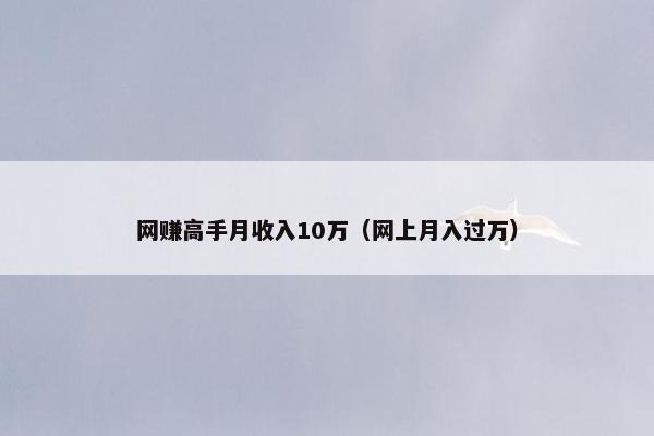 网赚高手月收入10万（网上月入过万）