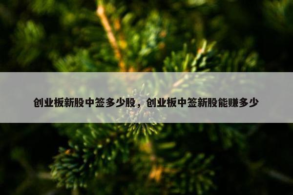 创业板新股中签多少股，创业板中签新股能赚多少