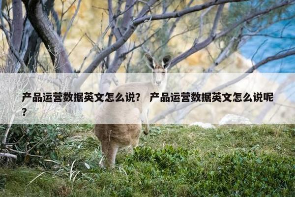 产品运营数据英文怎么说？ 产品运营数据英文怎么说呢？
