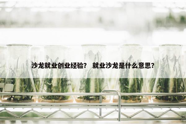 沙龙就业创业经验？ 就业沙龙是什么意思？