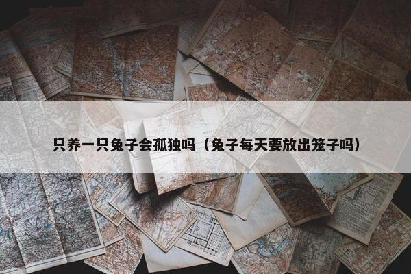 只养一只兔子会孤独吗（兔子每天要放出笼子吗）