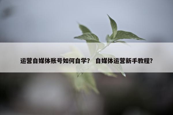 运营自媒体账号如何自学？ 自媒体运营新手教程？