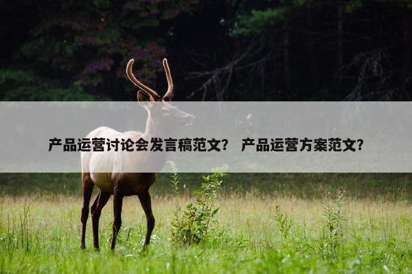 产品运营讨论会发言稿范文？ 产品运营方案范文？