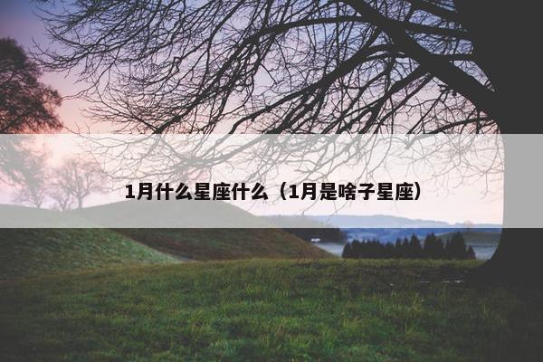 1月什么星座什么（1月是啥子星座）