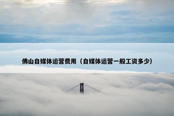 佛山自媒体运营费用（自媒体运营一般工资多少）