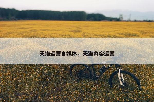 天猫运营自媒体，天猫内容运营