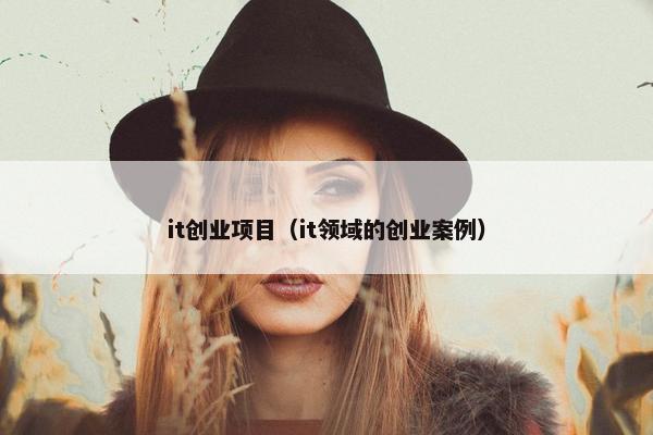 it创业项目（it领域的创业案例）