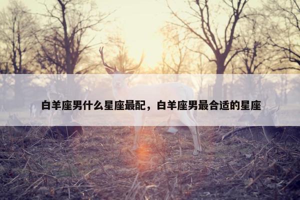 白羊座男什么星座最配，白羊座男最合适的星座