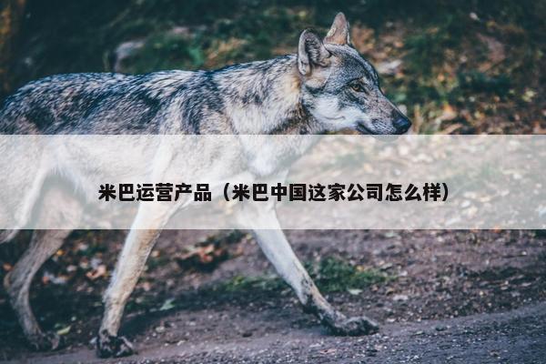 米巴运营产品（米巴中国这家公司怎么样）