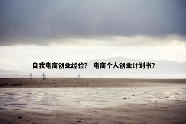 自我电商创业经验？ 电商个人创业计划书？