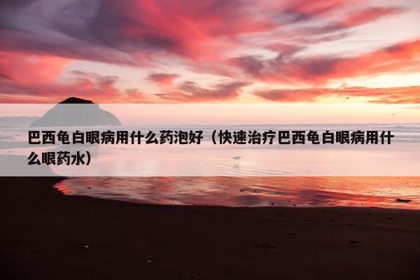 巴西龟白眼病用什么药泡好（快速治疗巴西龟白眼病用什么眼药水）