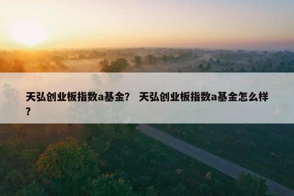 天弘创业板指数a基金？ 天弘创业板指数a基金怎么样？