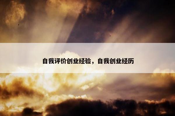 自我评价创业经验，自我创业经历