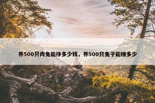 养500只肉兔能挣多少钱，养500只兔子能赚多少