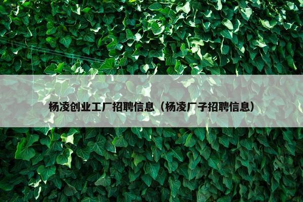 杨凌创业工厂招聘信息（杨凌厂子招聘信息）