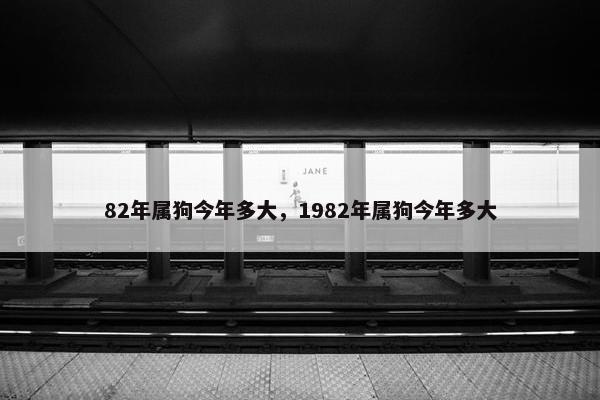 82年属狗今年多大，1982年属狗今年多大