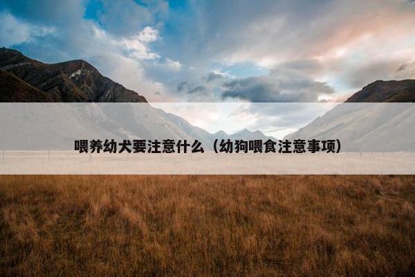 喂养幼犬要注意什么（幼狗喂食注意事项）