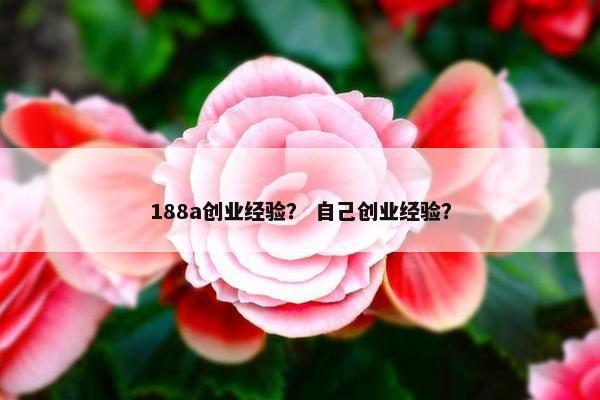 188a创业经验？ 自己创业经验？