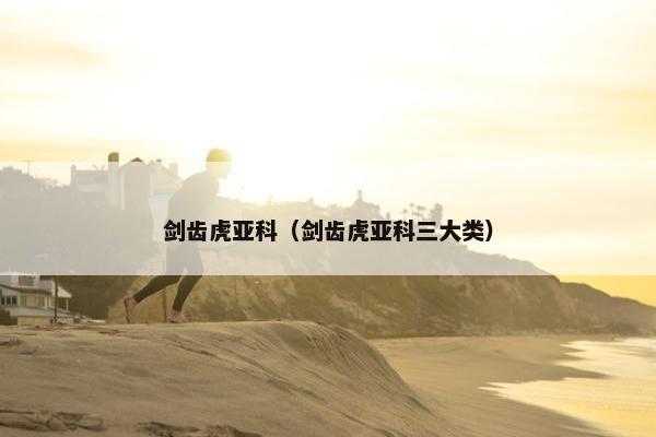 剑齿虎亚科（剑齿虎亚科三大类）