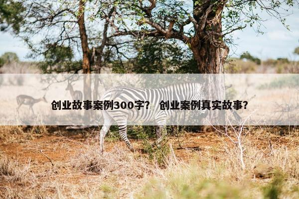 创业故事案例300字？ 创业案例真实故事？