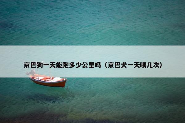 京巴狗一天能跑多少公里吗（京巴犬一天喂几次）