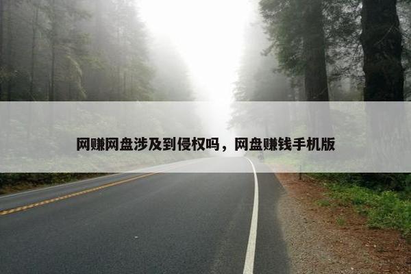 网赚网盘涉及到侵权吗，网盘赚钱手机版