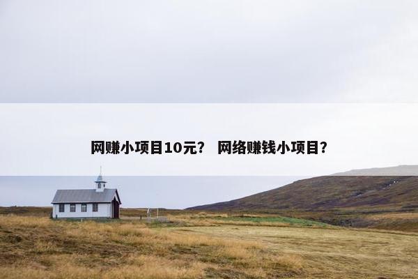 网赚小项目10元? 网络赚钱小项目? 网赚小项目10元? 网络赚钱小项目?