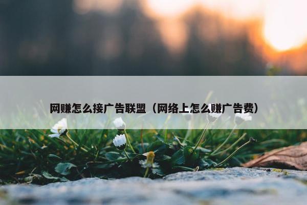 网赚怎么接广告联盟（网络上怎么赚广告费）