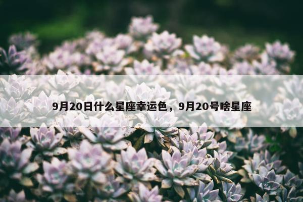 9月20日什么星座幸运色，9月20号啥星座