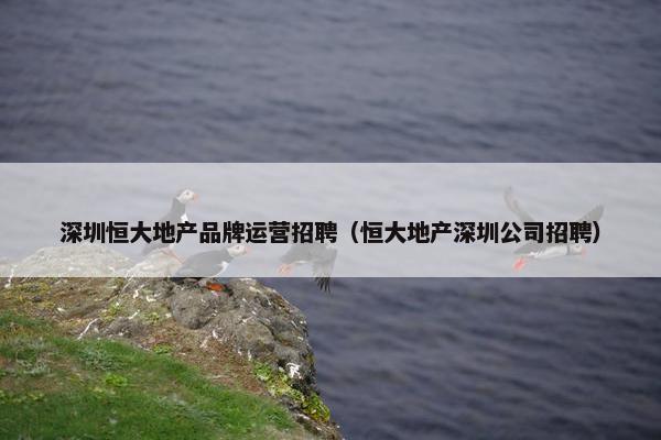 深圳恒大地产品牌运营招聘（恒大地产深圳公司招聘）