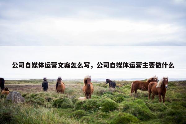 公司自媒体运营文案怎么写，公司自媒体运营主要做什么