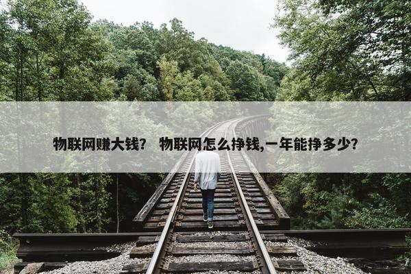 物联网赚大钱？ 物联网怎么挣钱,一年能挣多少？