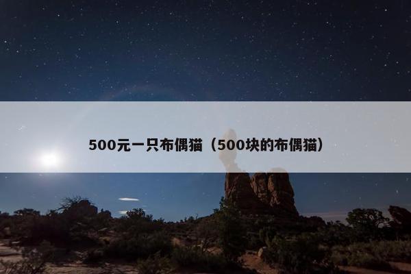 500元一只布偶猫(500块的布偶猫) 500元一只布偶猫(500块的布偶猫)