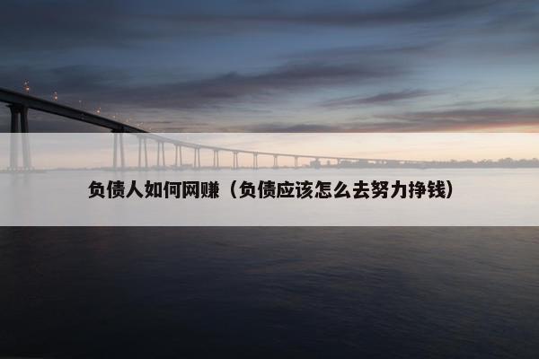 负债人如何网赚（负债应该怎么去努力挣钱）