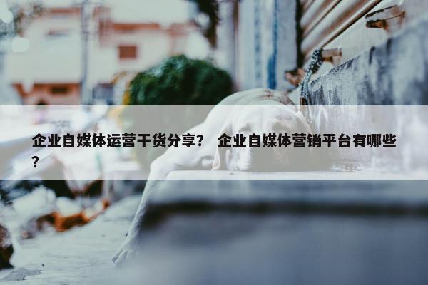 企业自媒体运营干货分享？ 企业自媒体营销平台有哪些？