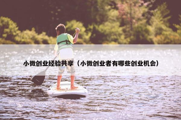 小微创业经验共享（小微创业者有哪些创业机会）