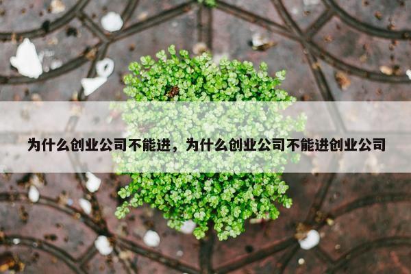 为什么创业公司不能进，为什么创业公司不能进创业公司