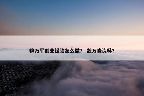 魏万平创业经验怎么做？ 魏万峰资料？