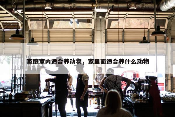 家庭室内适合养动物，家里面适合养什么动物