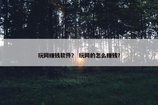 玩网赚钱软件？ 玩网的怎么赚钱？
