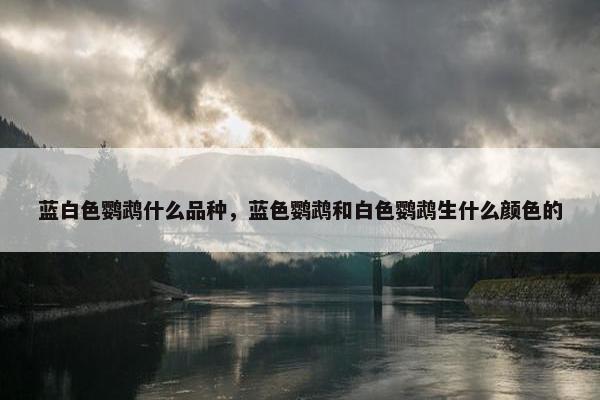 蓝白色鹦鹉什么品种，蓝色鹦鹉和白色鹦鹉生什么颜色的