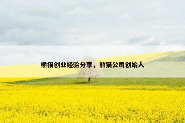 熊猫创业经验分享，熊猫公司创始人