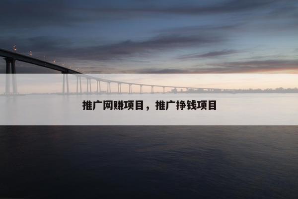推广网赚项目，推广挣钱项目