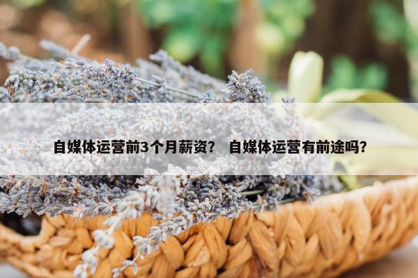 自媒体运营前3个月薪资？ 自媒体运营有前途吗？