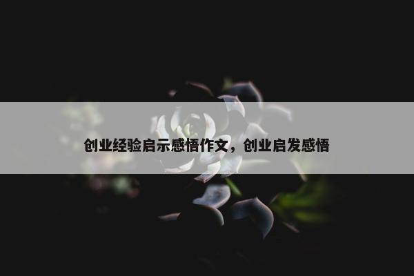 创业经验启示感悟作文，创业启发感悟