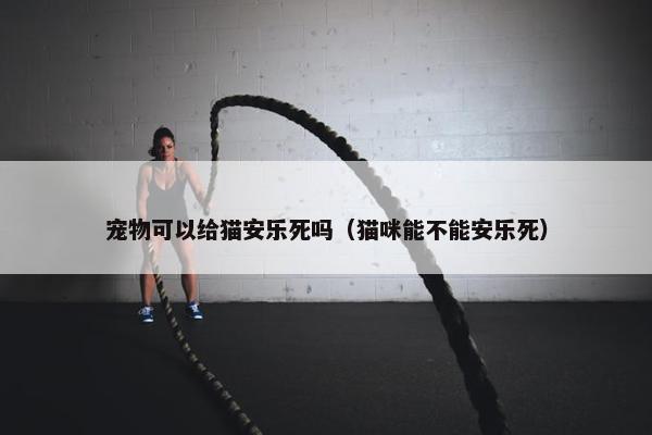 宠物可以给猫安乐死吗（猫咪能不能安乐死）
